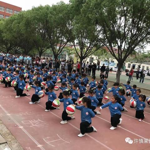 许慎莱茵幼儿园特色课程篮球