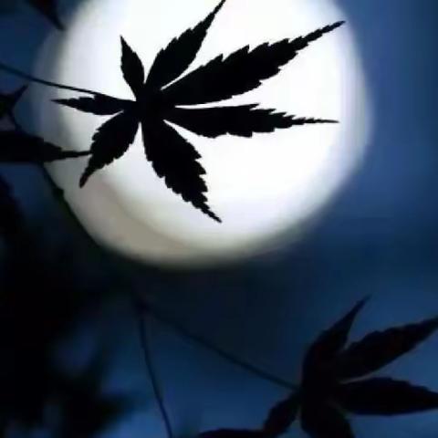 诗歌爱好者对句展示