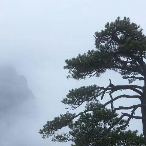 诗歌爱好者对句展示