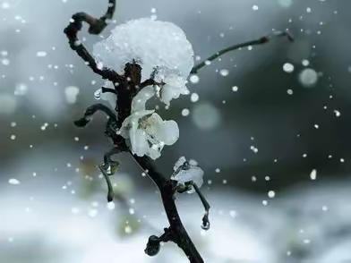 诗歌爱好者对句展示