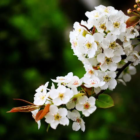 诗歌爱好者对句展示