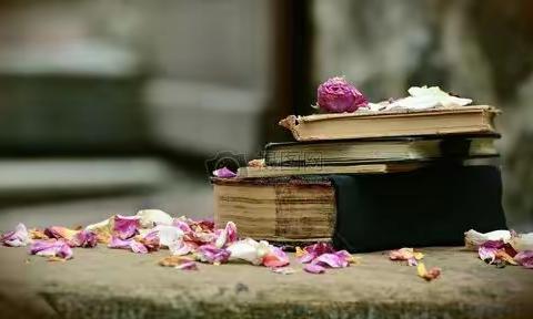 诗歌爱好者对句展示