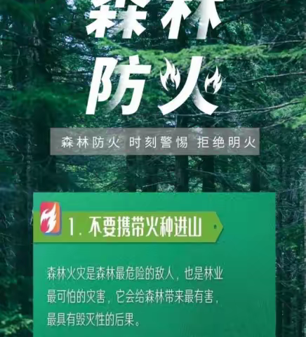 森林防火“十不要”