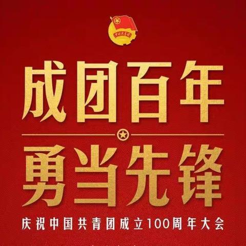 永远跟党走   建功新时代——南召中心校常舍完全小学学习庆祝中国共产主义青年团成立100周年系列活动