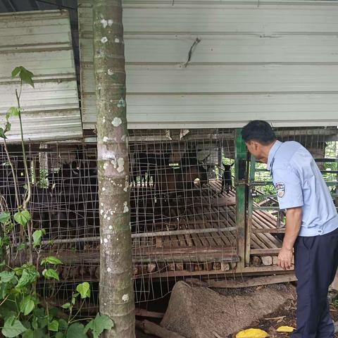 我为群众办实事/天涯区农业农村局畜牧办防疫员下村工作记录