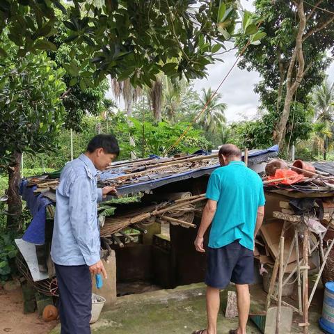 天涯区农业农村局畜牧办高峰片防疫员下村工作记录