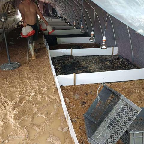 我为群众办实事/天涯区农业农村局畜牧办防疫员下村工作记录