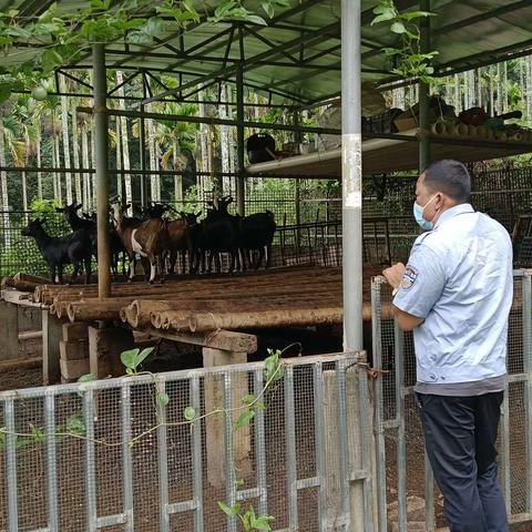 我为群众办实事/天涯区农业农村局高峰片防疫员下村工作记录