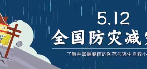 防灾减灾，共建安全之家——利通区第十小学“全国防灾减灾日”主题活动集锦