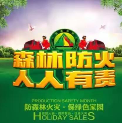 阳光的美篇