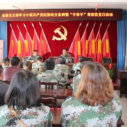 高壁村党支部“手拉手”帮秋收纪实