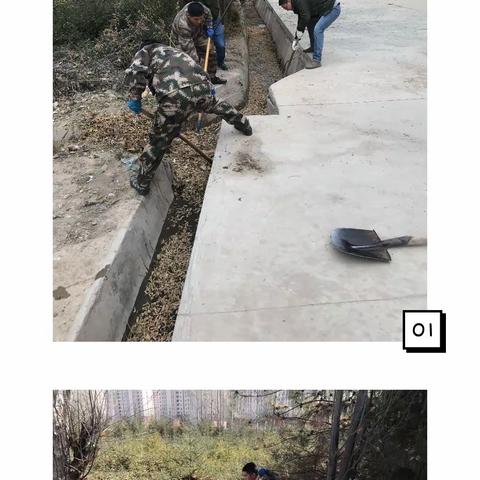 冬季苗木灌溉，确保安全过冬