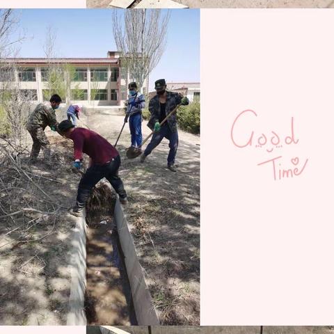 苗木补栽进行时   培育养护持续中