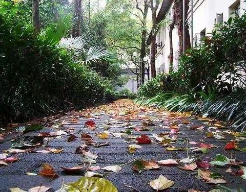 秋雨有情，润物无声——“国培计划(2019)”参访重庆市渝中区教师进修学院侧记