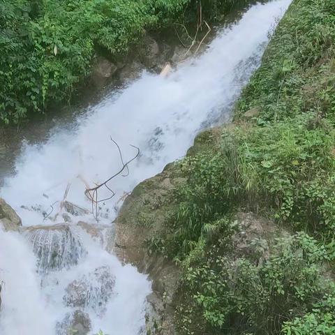 【临沧茶区】永德大雪山