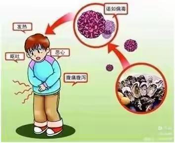 夏季到来—谨防腹泻、诺如病毒等传染病发生