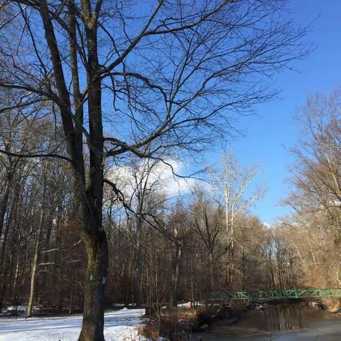 纽瓦克冬天的第一场雪