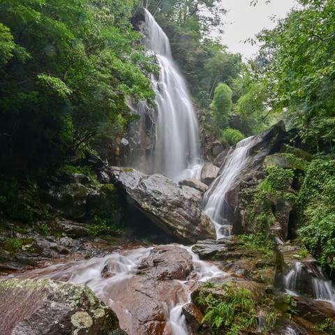 绿色明珠—大围山