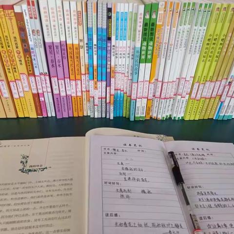 “博览群书添雅趣，缕缕书香胜饭香”大李庄学校全体学生读书交流活动