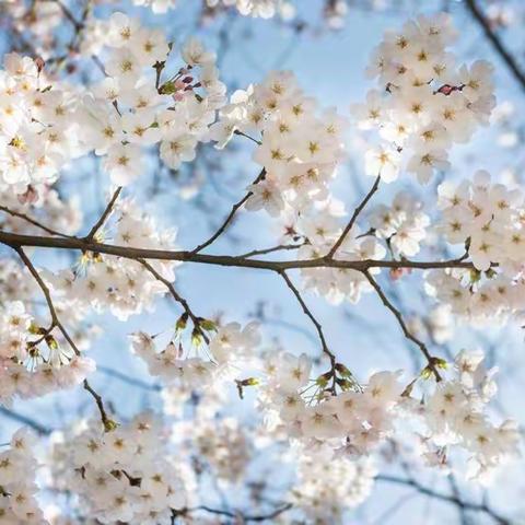 【亲子宅家欢，嗨享乐无边】