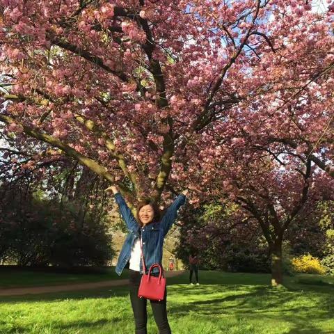 班戈大学,我来了