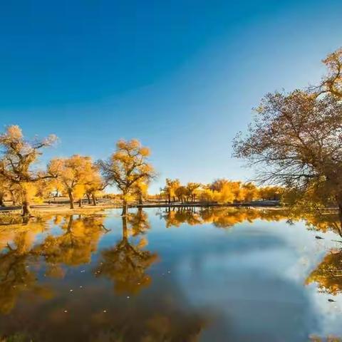 心中有梦，哪里都是诗和远方