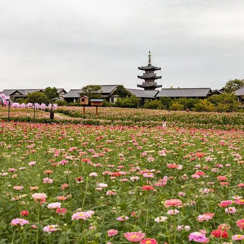 一花一世界，一叶一菩提（拈花湾游记）
