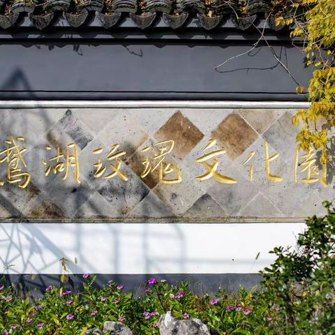 鹅湖玫瑰文化园--记南长街小学一（11）班社会实践活动