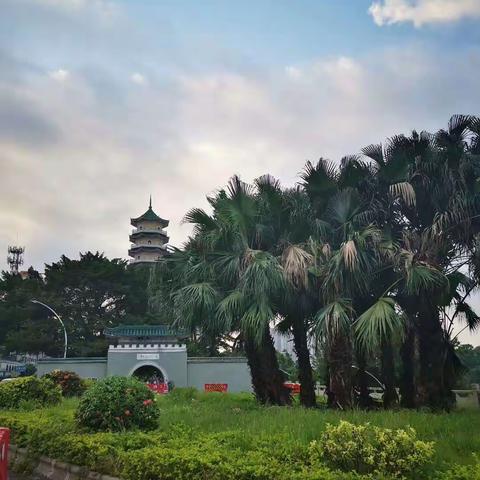 家人与朋友留影:2020年3月8日