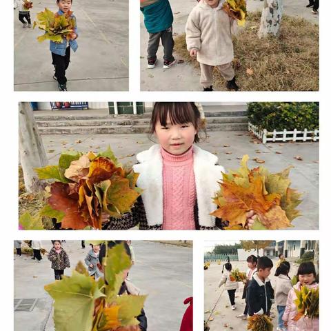 寻找秋天——捡树叶