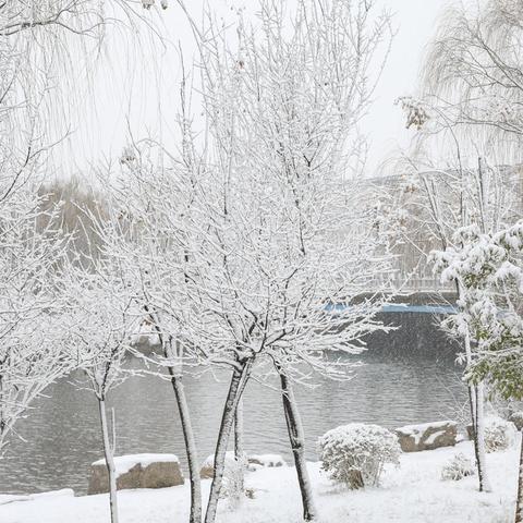 《大雪纷飞至 停课不停学》--记2021级3班学生多彩的一天