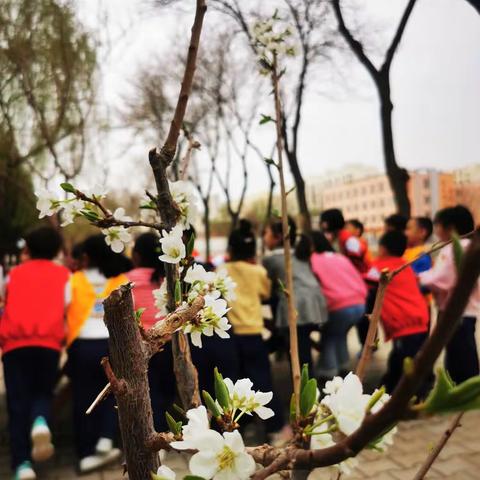 琢玉·实验二小幼儿园