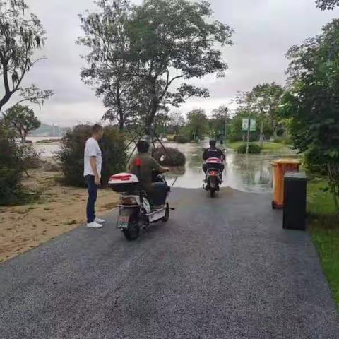 城门镇开展文物和历史建筑防汛安全巡查工作