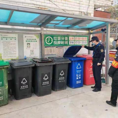分类投放收集设施完备、标识清晰，设置规范