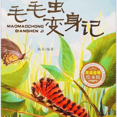 潇潇老师绘本故事《毛毛虫🐛变身记》