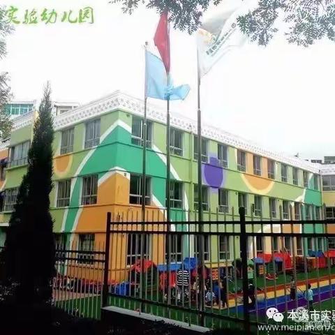 实验幼儿园小小班生活坊活动——《水果捞》