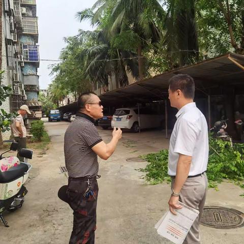 为民办实事 面貌换新颜——美华苑小区开展人居环境提升整治活动