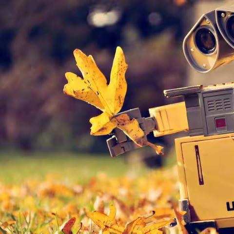 庆幼物流中心的美篇