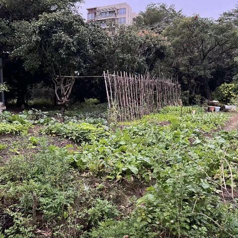 韵翠田园