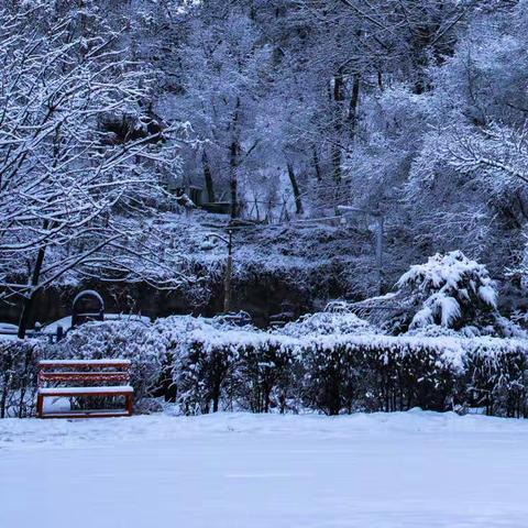 昨夜的雪