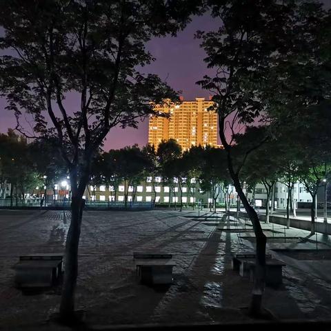 校园夜色美