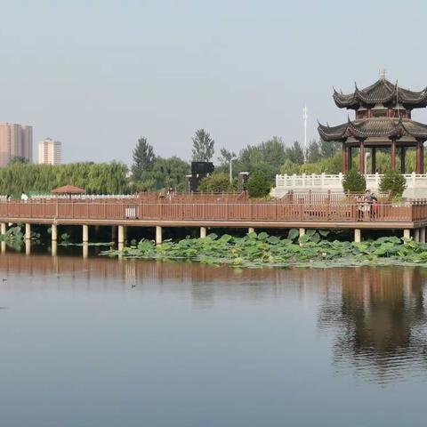 我们好像在哪见过