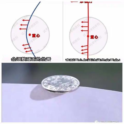 小实验大科学，居家生活趣味多——东平县第四实验小学四年级线上居家实践活动