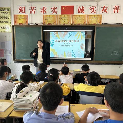 小组合作共探索，高效培训促提升—大坑中学高效课堂小组培训