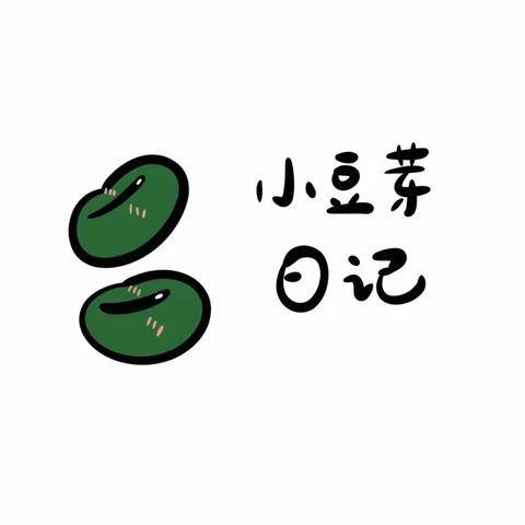 小豆芽观察日记