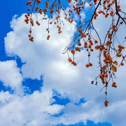 期盼新春，喜迎美好！