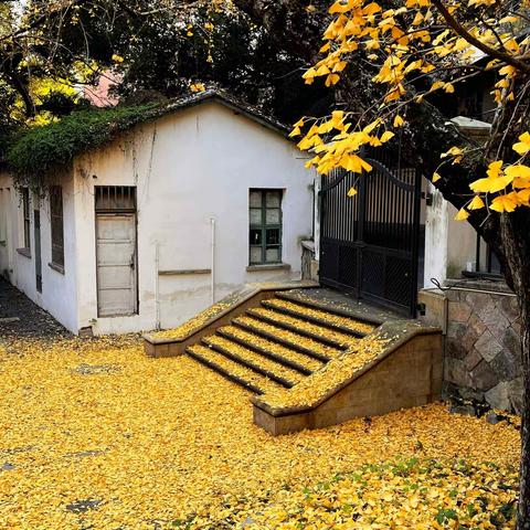 你好！2023～手机随拍……