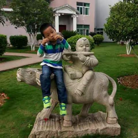 你是人间五月天