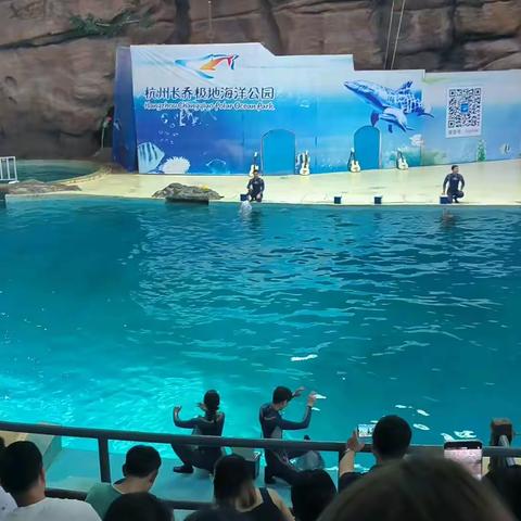 杭州长乔极地海洋公园之海豚表演
