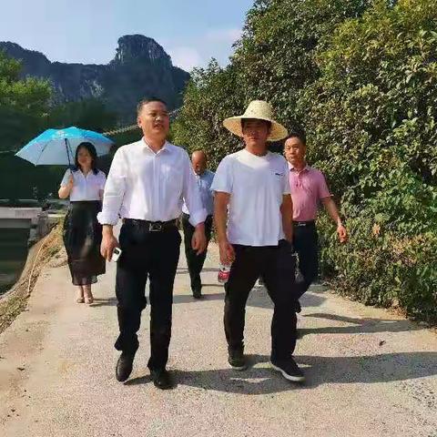 【我为群众办实事】维护漓江生态环境